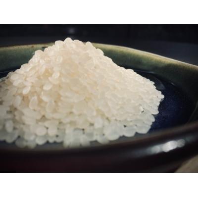 ふるさと納税 江府町 令和7年産 みちくさお勧めのお米(コシヒカリ)5kg 鳥取県江府町産 0367