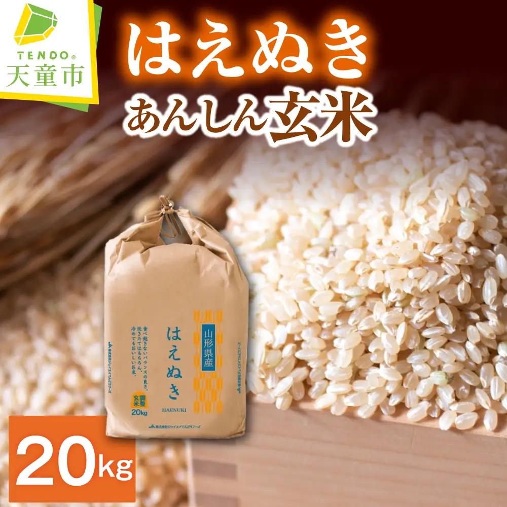 【11月上旬発送】令和8年産 あんしん玄米 はえぬき 20kg 米 玄米