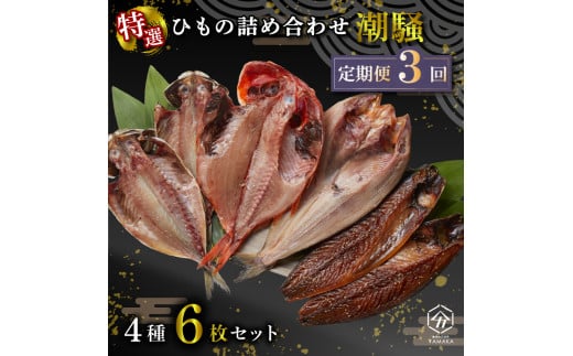 【定期便全3 回4 ヶ月毎】 干物 厳選セット 4種 6枚 金目鯛 あじ 真ほっけ さば 醤油 醤油干し 鰯 鯖 サバ アジ ひもの 沼津 静岡 コスパ ランキング 人気 美味しい 詰め合わせ 干物セット