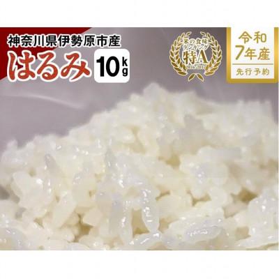 ふるさと納税 伊勢原市 【先行受付】新米[令和7年産]伊勢原産 精米 10kg はるみ 農家直送!加藤さんちのうんめぇ米