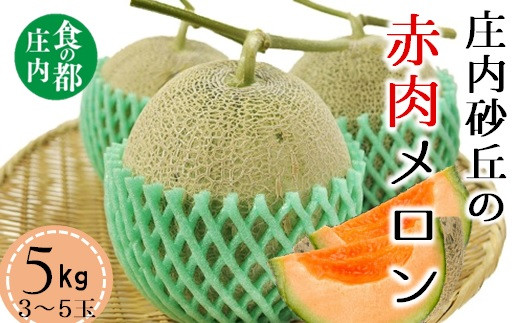 【令和8年産】食の都庄内　庄内の赤肉メロン5kg（3～5玉）　※令和8年7月上旬～8月上旬頃発送