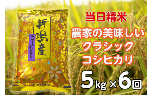 【令和7年産新米】【6ヶ月定期便】 当日精米! 農家直送 美味しい クラシックコシヒカリ 5kg×6回 計30kg 精米 白米 水原町農産センター 1F28101