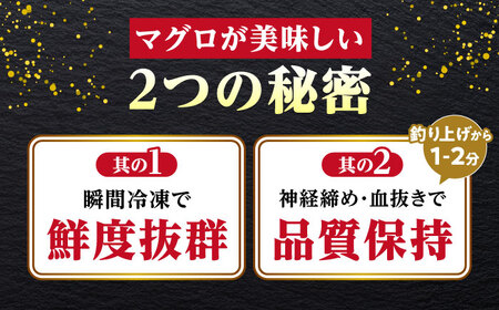【全12回定期便】訳あり！対馬産 本マグロ 切り落とし 630g（9パック） ≪対馬市≫【桐谷商店】 トロの華 冷凍 新鮮 海鮮 小分け マグロ[WAQ038]