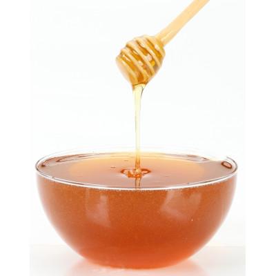 ふるさと納税 美里町 【数量限定】 熊本県 美里町 ハチミツ ニホンミツバチ 純蜜 900g【中蓮寺農園】 |  | 01