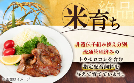 【全2回定期便】三元豚 肩ロースしょうが焼き用 400g (200g×2P)《喜茂別町》【平田牧場】 三元豚 肉 豚肉 ロース 生姜焼き スライス 冷凍配送 定期便[AJAP135]