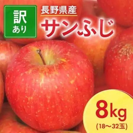 サンふじ りんご 10kg 家庭用