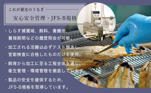 大ボリューム1kg　愛知県三河一色産　うなぎ蒲焼き　（5尾～7尾）・U040
