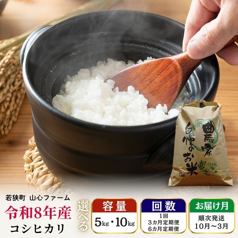 【ふるさと納税】米 コシヒカリ 新米 令和8年産 選べる 5kg 10kg 定期便 先行予約 福井県産 若狭町産 白米 精米 一等米 単一原料米 ブランド米 こしひかり 5キロ 10キロ お得 福井県 若狭町　お届け：2026年10月より順次発送
