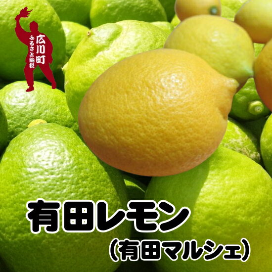 【ふるさと納税】【先行予約】 国産 紀州 和歌山 有田 レモン ※2025年9月下旬～2026年3月下旬に順次発送 ※北海道・沖縄・その他離島地域は発送不可 / 檸檬 くだもの 果実 柑橘 果物 フルーツ 国産 和歌山県 有田 //lemon