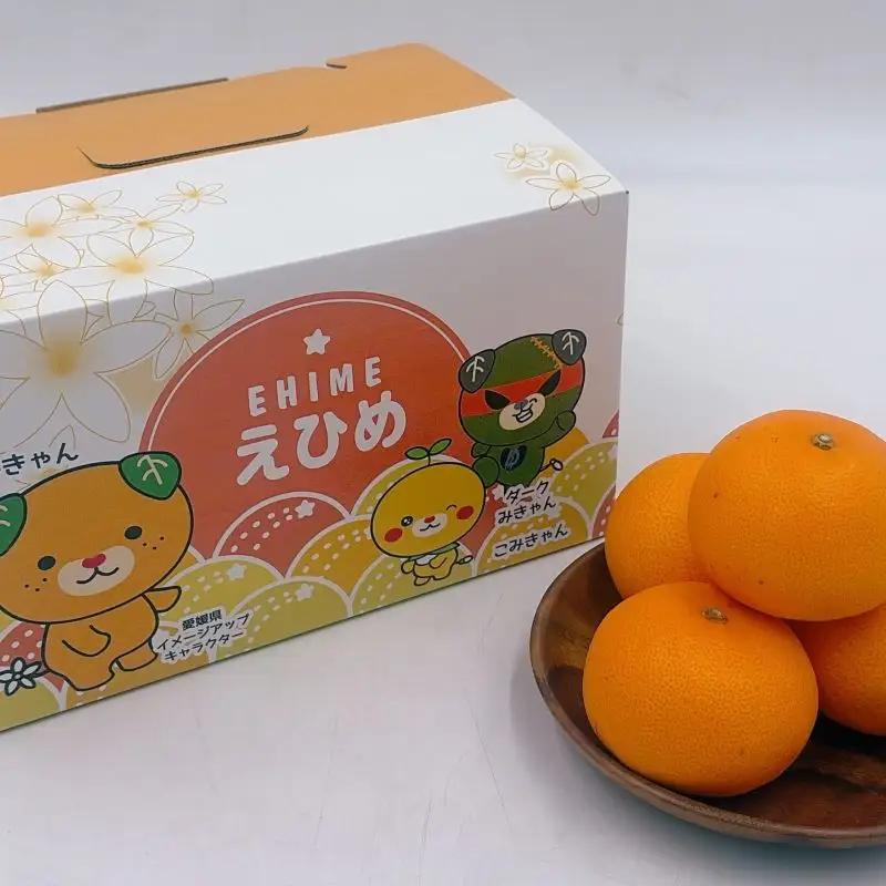 【全3回】愛媛の離島「中島」産柑橘定期便 2.5kg | 甘平 せとか カラマンダリン みかん フジ・アグリフーズ 春みかん 愛媛蜜柑 愛媛ミカン みかん ミカン mikan 蜜柑 柑橘 フルーツ 【