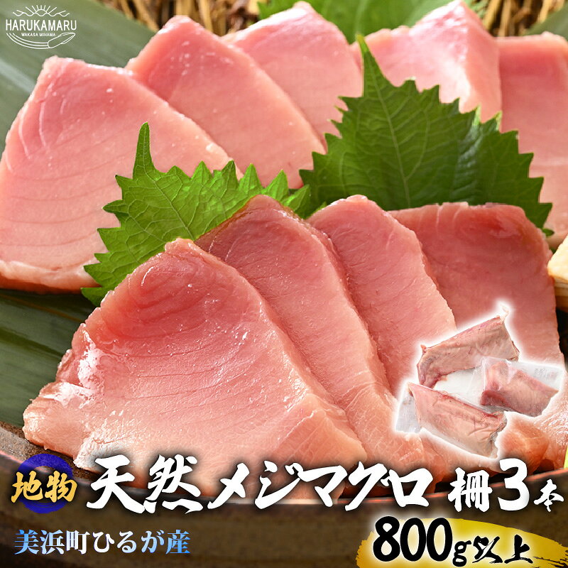 【ふるさと納税】【先行予約】天然！地物！ひるがのメジマグロ 柵3本【合計800g以上】【2027年2月中旬以降順次発送予定】【マグロ まぐろ 鮪 クロマグロ 本マグロ 幼魚 刺身 まぐろたたき トロ 大トロ 中トロ 赤身 海鮮 海鮮丼 国産】