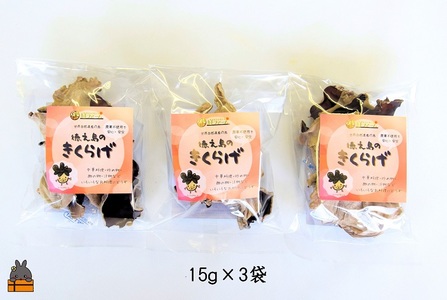 天然水使用・完全天日干し徳之島産きくらげ（3袋）( きのこ 健康 国産 安心 安全 和食 中華料理 こりこり 料理 天然水 中華丼 汁物 具材 朝食 昼食 夕食 )