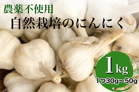 【2025年産 予約】にんにく 1kg 京都府・亀岡産 自然栽培のかたもとオーガニックファームよりお届け 旬野菜 京野菜 野菜 厳選野菜