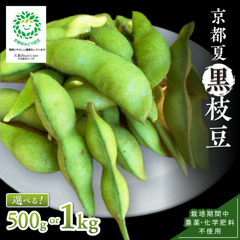 【ふるさと納税】【先行予約】京都・夏黒枝豆さや 500g（250g×2パック）1kg（250g×4パック）（2026年7月中旬～発送） 野菜 豆類 黒豆 黒枝豆 晩酌 おつまみ おかず 京都 ふるさと納税 枝豆
