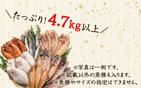 【2025年9月下旬発送】訳あり 干物・切身 セット 4.7kg以上 規格外 傷 不揃い