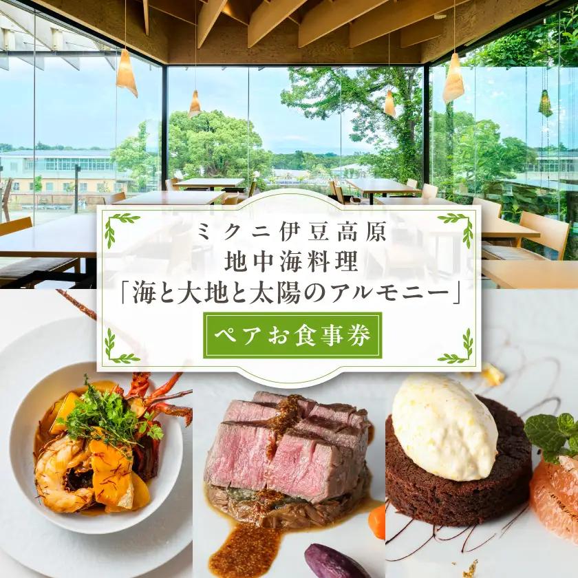 【ミクニ伊豆高原】地中海料理「海と大地と太陽のアルモニー」ペアお食事券_旅行券・チケット 食事券  _【1141847】