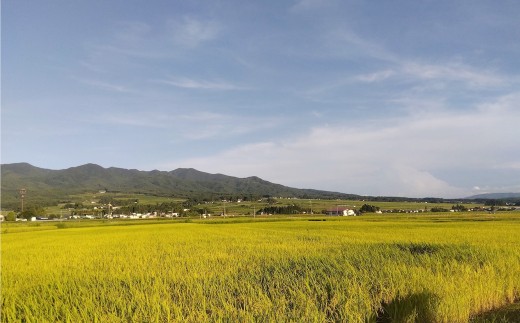 減農薬コシヒカリ玄米　30kg　令和8年産　会津　喜多方【07208-0985】