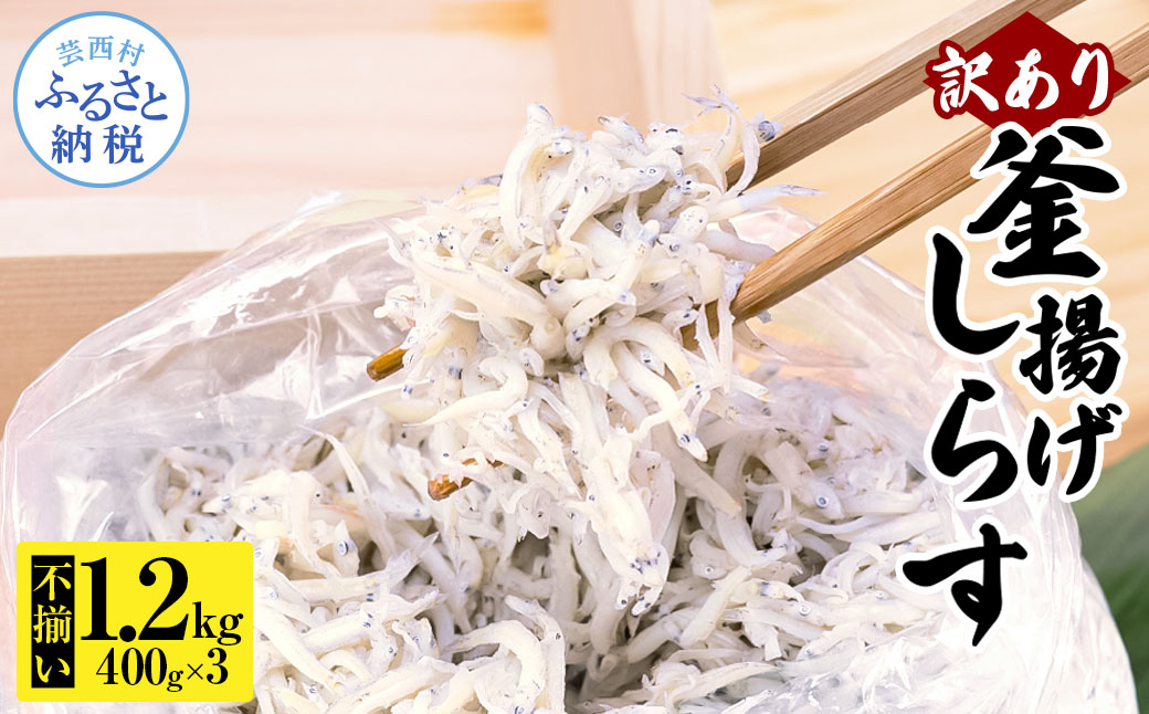 訳あり釜揚げシラス400g×3個 高知県産 釜揚げしらす 簡易梱包 わけあり 不揃い シラス 国産 釜揚げ 新鮮 しらす丼 海鮮丼 お茶漬け 冷凍配送 塩分控えめ お取り寄せ