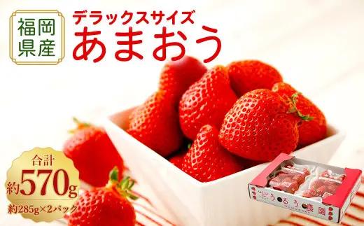 【アフター保証】うるう農園 あまおう DX等級 2パック （約570g）【2026年12月上旬～2027年1月下旬発送予定】 いちご イチゴ 苺 フルーツ 果物