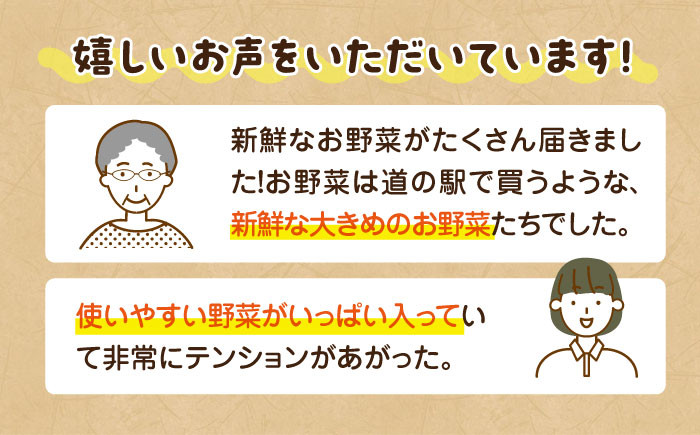 旬を味わう新鮮野菜と果物の詰め合わせセレクションボックス（6種以上）