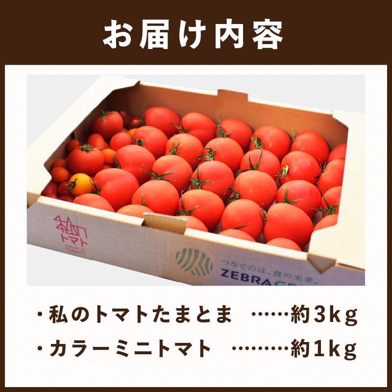 【限定出荷】"たまとま"＋カラーミニトマト(約4kg)《 野菜 トマト ミニトマト カラートマト 期間限定 送料無料 おすすめ 美味しい セット とまと ふるさと納税 》【2401C12101】