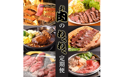 
＜毎月定期便＞お肉のわくわく定期便　つけダレ、ステーキソース付き(日出町)全6回【4003378】
