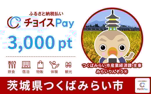
            つくばみらい市チョイスPay 3,000pt【会員限定のお礼の品】
          