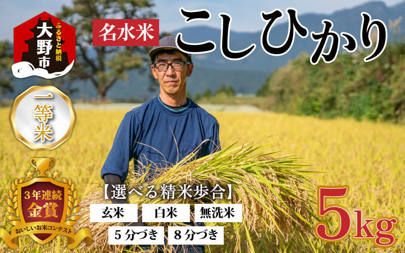 
【先行予約】【令和６年産】越前大野産 一等米 帰山農園の棚田育ちコシヒカリ 5kg × 1袋 【選べる精米方法】
