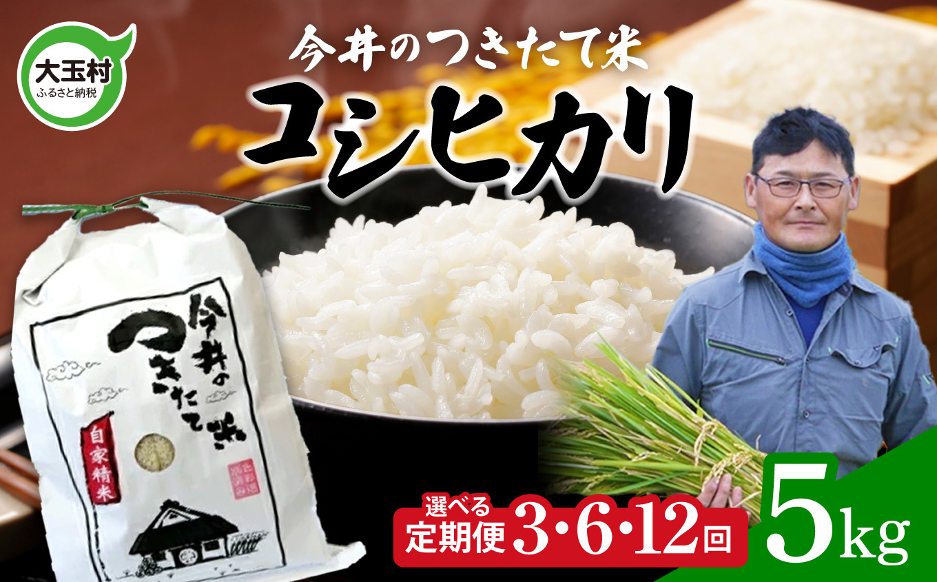 
            【 令和6年産 新米 】 米 5kg 定期便 コシヒカリ 回数が選べる！ 3ヶ月 / 6ヶ月 / 12ヶ月 （ 合計 15kg / 30kg / 60kg ）【 今井のつきたて米 】福島県 大玉村 こしひかり 定期便 米 精米 白米 今井農園
          