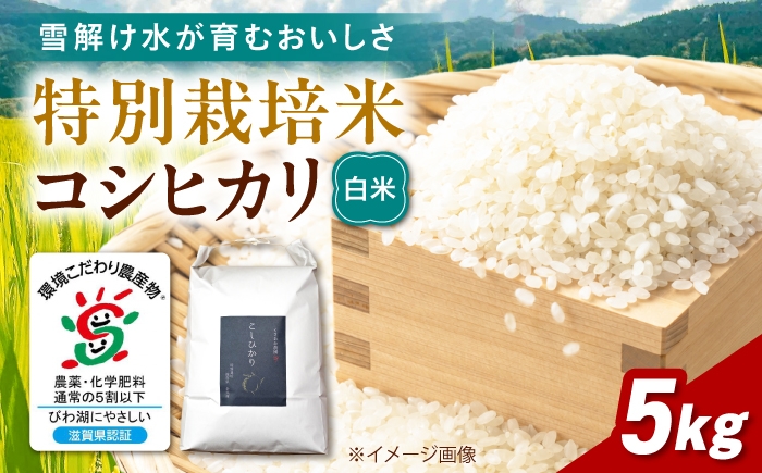 
                  特別栽培米コシヒカリ5kg 白米 滋賀県長浜市/くさおか農園 [AQEB002]
                