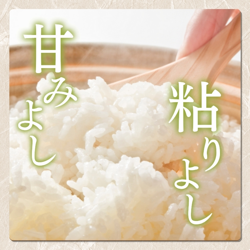 令和7年 新米 新潟県産コシヒカリ えちご上越米　定期便 【6ヶ月連続お届け】5kg×6回 30kg 新潟 米 新潟県 こしひかり 限定 おすすめ