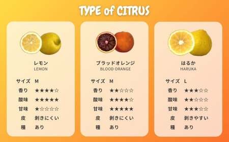 国産 オーガニックフルーツ詰め合わせ 5kg レモン ブラッドオレンジ はるか 不知火 紅八朔 有機JAS認証 選べるサイズ 瀬戸内 広島 大崎上島 離島 有機栽培 安心 安全 オーガニック 柑橘 濃