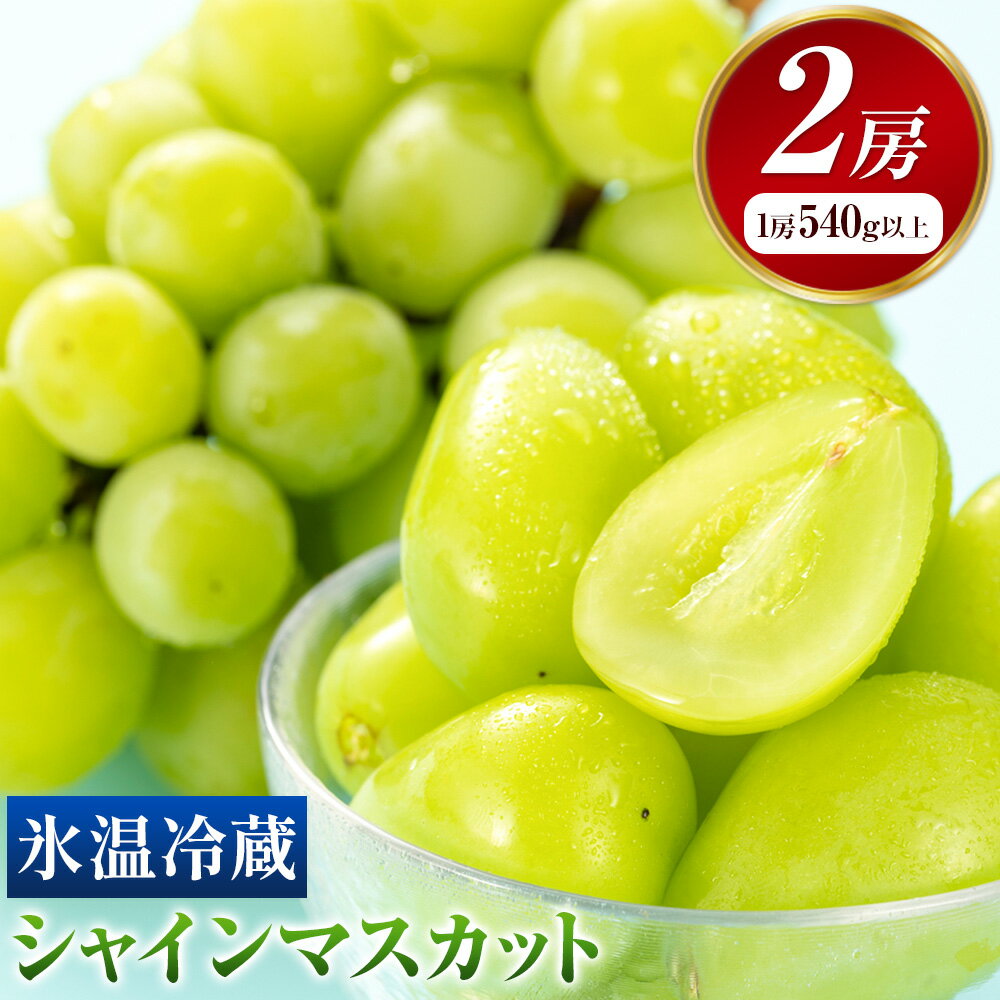 【ふるさと納税】【発送先行予約】岡山県産 冷蔵 シャインマスカット 2房 (540g以上) 有限会社ホーティカルチャー神島《11月下旬-12月上旬頃出荷》岡山県 浅口市 マスカット ぶどう 葡萄 氷温冷蔵 果物 フルーツ【配送不可地域あり】