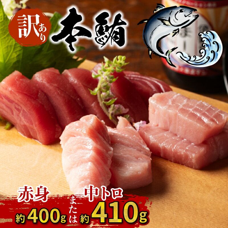 【ふるさと納税】 訳あり 本マグロ 中トロ 410g 赤身 400g 選べる 伊勢志摩まぐろ食堂 ／本マグロ 本鮪 専門店 マグロ 鮪 刺身 刺し身 お刺身 三重県 伊勢志摩 南伊勢町