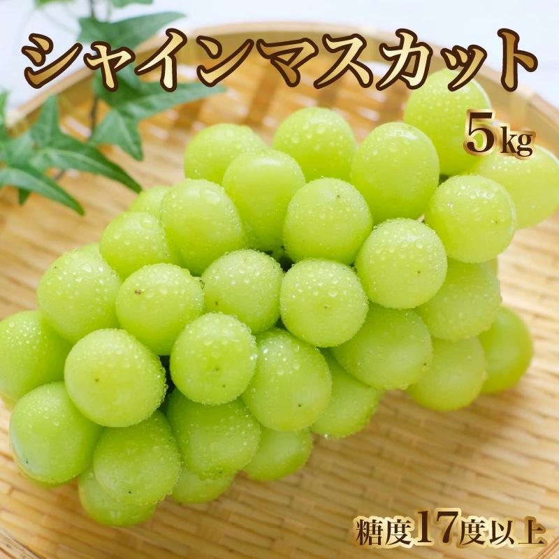 M64-0035_【ふるさと納税】【8月下旬より発送】シャインマスカット5kg (6～7房)【700g以上】【糖度17度以上】