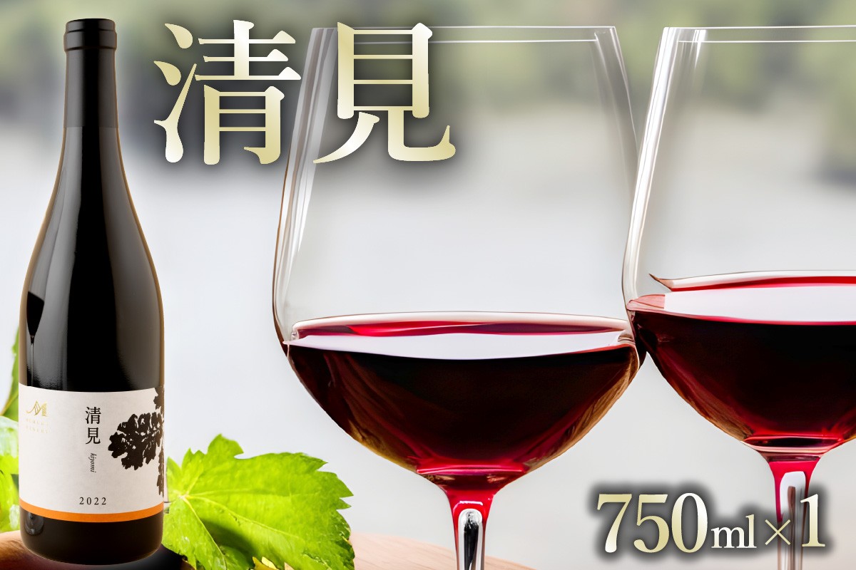 
北海道十勝芽室町 赤ワイン：清見 vin2021　750ml×1本(箱入) me032-044c
