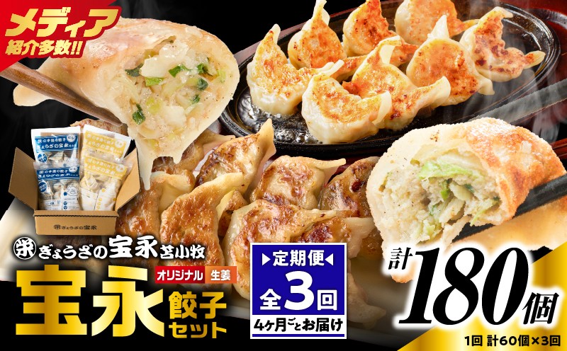 
                  【定期便・全3回 4ヶ月毎】手包み餃子 ぎょうざの宝永 生姜餃子60個セット（宝永餃子15個入×2袋・生姜餃子15個入×2袋）　T004-T05-02-01
                