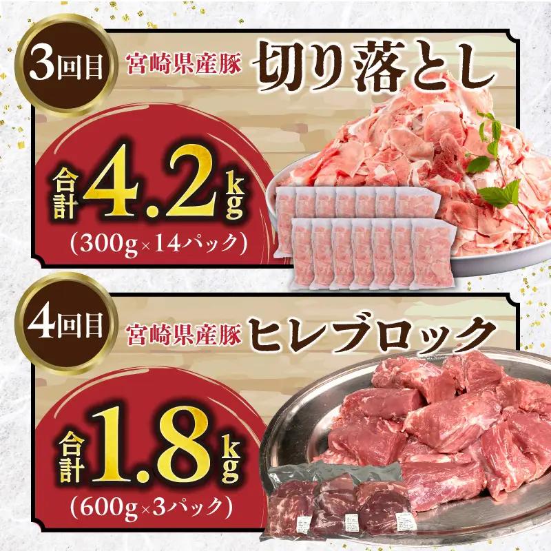 【全5回】豚肉定期便 バラ ロース 切り落とし ヒレ 肩ロース