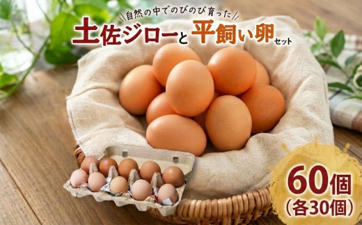 土佐ジローの卵と平飼い卵 セット 各30個(10個×6パック) 合計60個 | たまごのおくだ 新鮮 土佐ジロー 平飼い 卵 たまご 60個 鶏卵 卵黄 エッグ たまごかけ ご飯 玉子 タマゴ 玉子焼き たまご焼き すき焼き 鶏 ケーキ セット 2種 食べ比べ 産地直送 国産 高知県 南国市 ふるさと納税