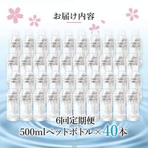 【桜屋】6回 定期便 シリカ天然水 サクラシリカ 500ml 40本 6回 計240本 シリカ含有量99mg/L シリカ水 ラベルレス 水 ミネラルウォーター 飲料水 飲料 ペットボトル ナチュラルウ