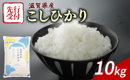 【令和8年産】 先行予約 新米 こしひかり 10kg 令和8年産 米 精米 白米 近江米 こめ コメ お米 ご飯 米 コシヒカリ 10キロ 令和8年 滋賀 彦根