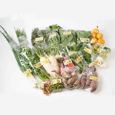ふるさと納税 輪之内町 【毎月定期便】【栽培期間中化学肥料・農薬不使用】季節の新鮮野菜の詰め合わせ 全3回 |  | 02