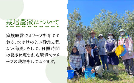 【2024年11月〜発送】【6回定期便】 原城 オリーブ エクストラ・ヴァージンオイル  100ml 3本 / オリーブオイル オイル 油 調味料 / 南島原市 / ミナサポ[SCW058]