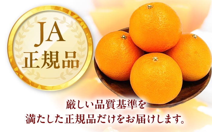 柑橘 蜜柑 みかん ミカン みかんジュース 愛果48号 3kg 甘い 愛媛 贈答