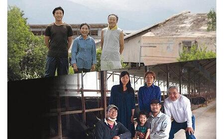 【和牛セレブ】【化粧箱入り】 鳥取和牛　 煮込み用ブロック 400g ※着日指定不可