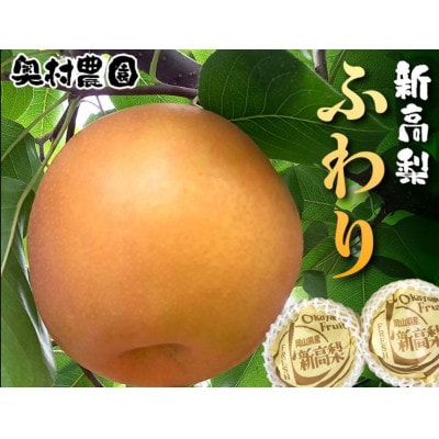 《2026年9月中旬より順次発送》 新高梨 ふわり(6玉入り)【配送不可地域：離島】