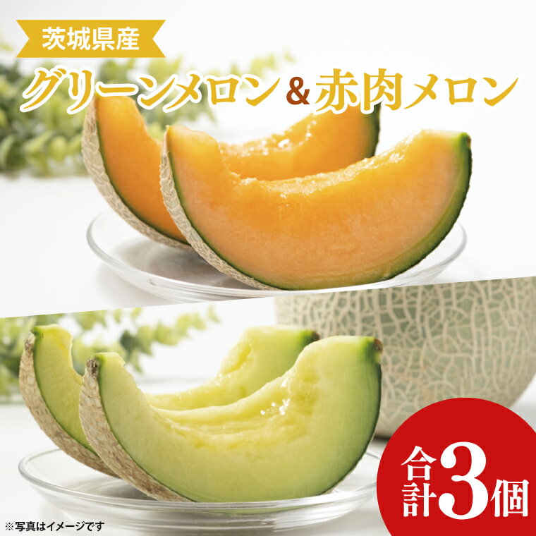 【ふるさと納税】【先行予約】【6月下旬～7月中旬まで発送】茨城県阿見町産メロン3玉（青肉2玉・赤肉1玉）【グリーンメロン 果肉 濃厚 オレンジ色 上品な甘み】(21-02-1)