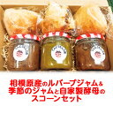 【ふるさと納税】相模原産のルバーブジャム＆季節のジャムと自家製酵母のスコーン3個セット