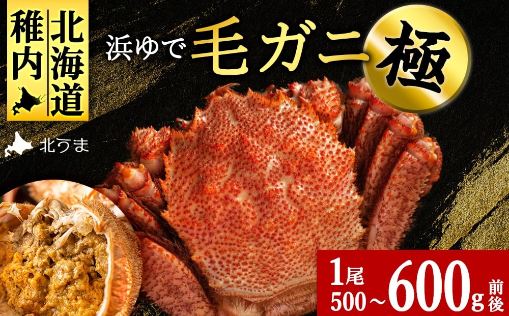
            【稚内産・極】 浜ゆで毛ガニ(堅蟹) 500g～600ｇ×1尾
          