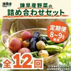 5046809_2023年1月発送1065544 諫早産野菜の詰め合わせ(8～9品目程度)